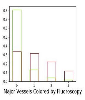 Major Vessels Colored by Fluoroscopy